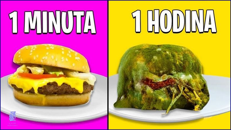 Už Víte Za Jak Dlouho Se Doplní Železo?