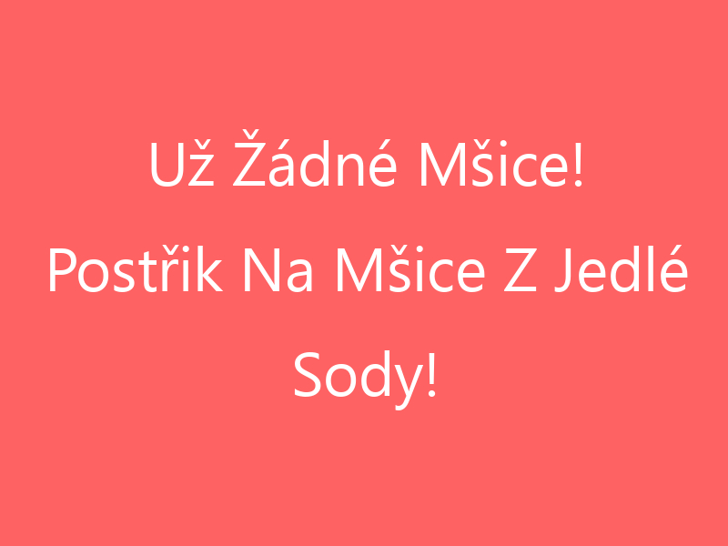 Už Žádné Mšice! Postřik Na Mšice Z Jedlé Sody!