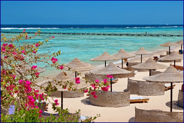 Vydejte se na dobrodružství do Marsa Alam Moře!