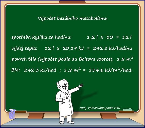 Výpočet Bazálního Metabolismu: Jak?