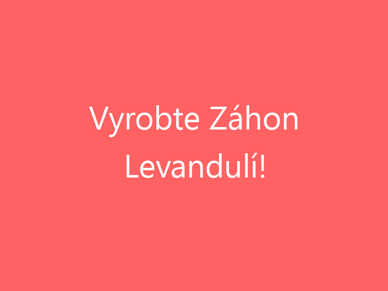 Vyrobte Záhon Levandulí!