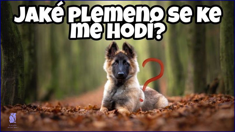 Zjisti, Jaké Povolání Se Ke Mě Hodí! Zjisti, Jaké Povolání Se Ke Mě Hodí!