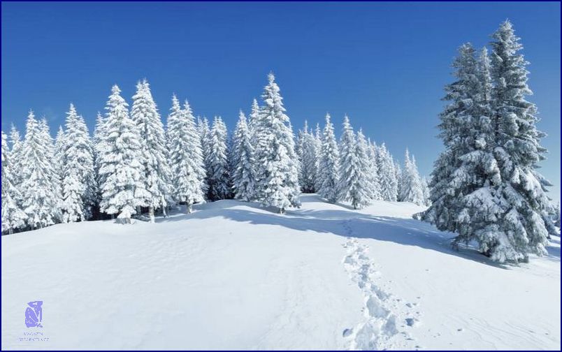 Zjistěte, jak Snář odhaluje Nevěru Partnera!