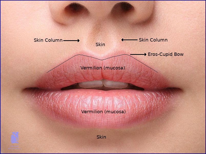 Uvěříte, že v Praze jsou Russian Lips? Uvěříte, že v Praze jsou Russian Lips?