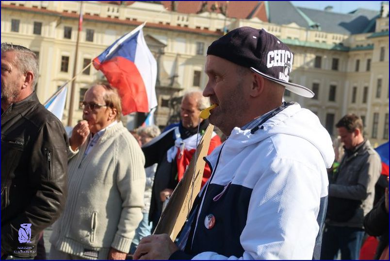 Jak Zastavit Alopecii? Zjistěte Tady!