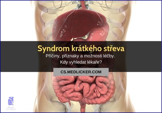 Zjišťte Příčiny Krátkého Menstruačního Cyklu! Zjišťte Příčiny Krátkého Menstruačního Cyklu!