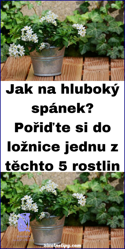 Jak Navodit Hluboký Spánek - Tady je 6 Tipů!