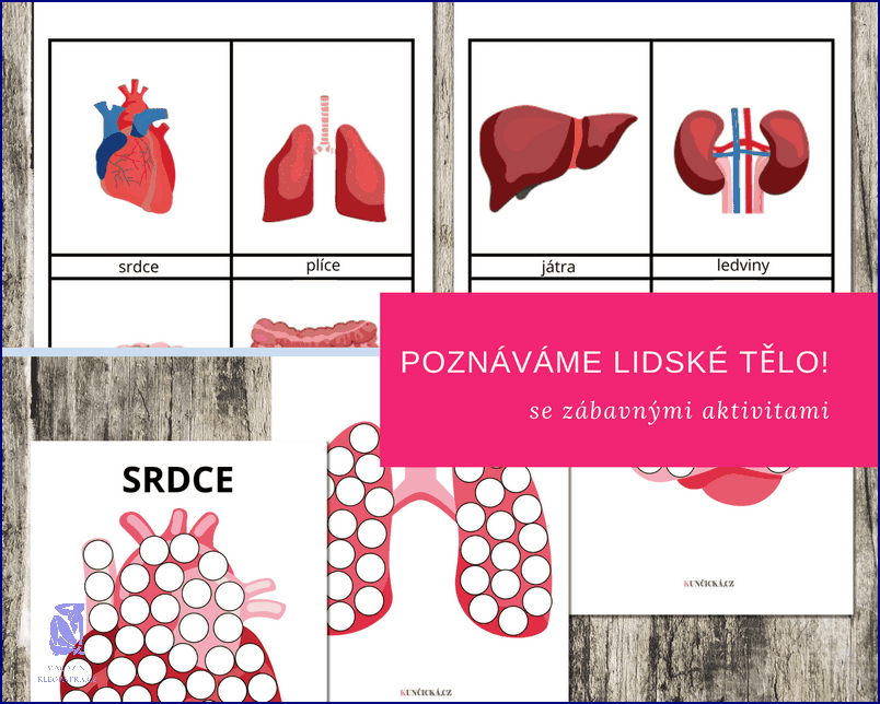 Překvapte Své Tělo: Denní Dávka Vitamínu C!