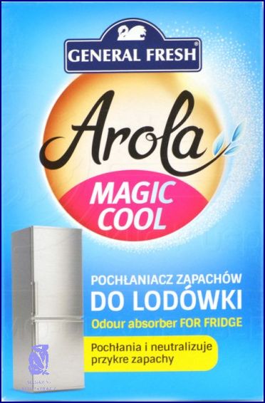 Pohlcovač Pachu Do Bytu: Nová Účinná Metoda!
