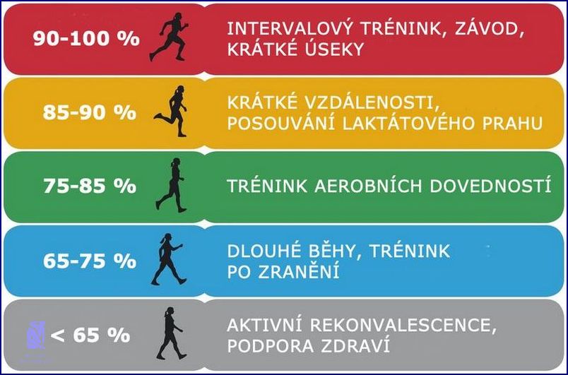 Tepová Frekvence Při Běhu: Zjistěte, jak ji zlepšit! Tepová Frekvence Při Běhu: Zjistěte, jak ji zlepšit!