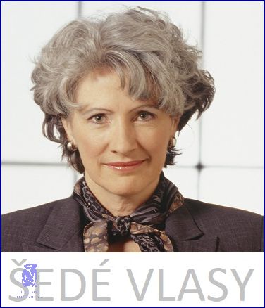Přechod Na Šedivé Vlasy - 10 Tipů, Které Musíte Vyzkoušet! Přechod Na Šedivé Vlasy - 10 Tipů, Které Musíte Vyzkoušet!