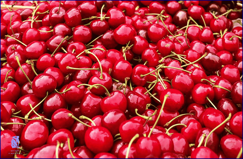 Zavařování Třešní V Troubě: Návod na Perfektní Chuť!