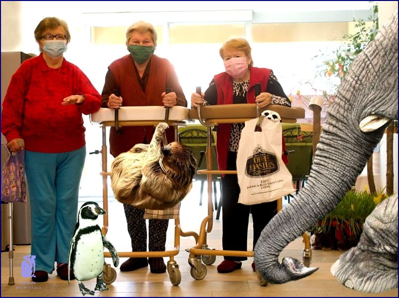 Zvířata Zoo Lešná Na Víkend: Přijďte Se Podívat! Zvířata Zoo Lešná Na Víkend: Přijďte Se Podívat!