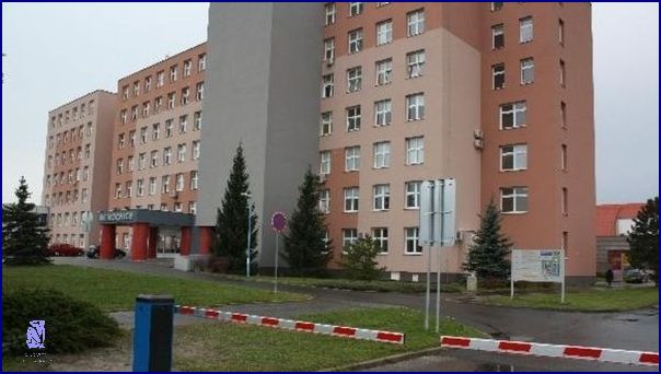 5 Krocích K Udržení Zdravého Jídelníčku Po Operaci Slepého Střeva. 5 Krocích K Udržení Zdravého Jídelníčku Po Operaci Slepého Střeva.