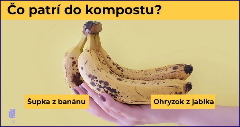 Co Patri Do Kompostu Co Patri Do Kompostu